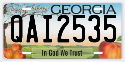 GA license plate QAI2535