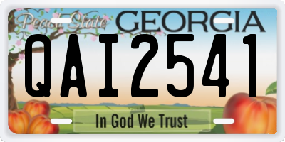 GA license plate QAI2541