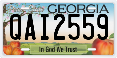 GA license plate QAI2559