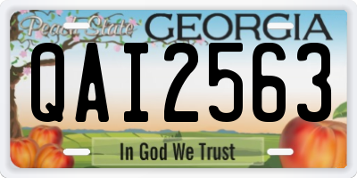 GA license plate QAI2563
