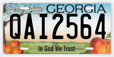 GA license plate QAI2564