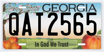 GA license plate QAI2565