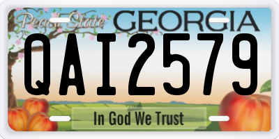 GA license plate QAI2579