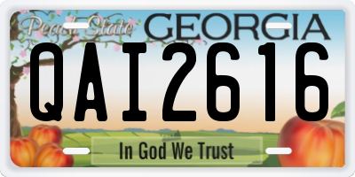 GA license plate QAI2616