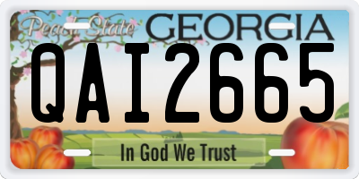 GA license plate QAI2665