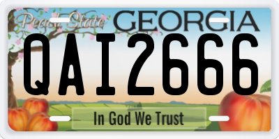 GA license plate QAI2666