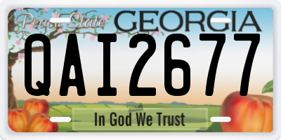 GA license plate QAI2677
