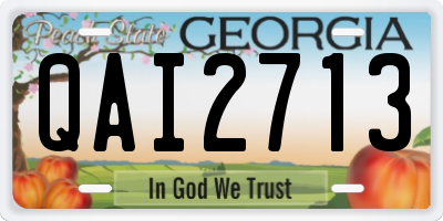 GA license plate QAI2713
