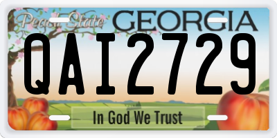 GA license plate QAI2729