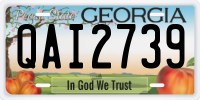 GA license plate QAI2739