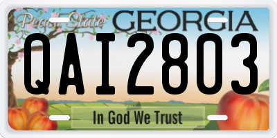 GA license plate QAI2803