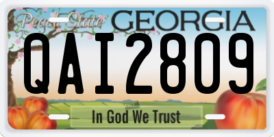 GA license plate QAI2809