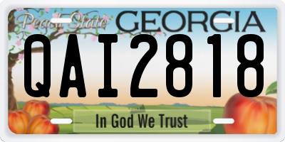 GA license plate QAI2818