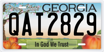 GA license plate QAI2829