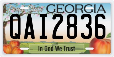 GA license plate QAI2836