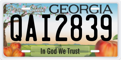 GA license plate QAI2839