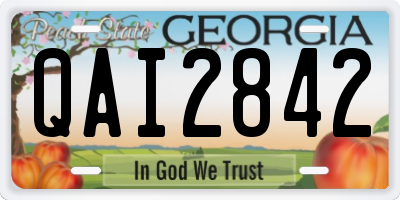 GA license plate QAI2842