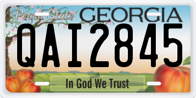 GA license plate QAI2845