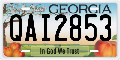 GA license plate QAI2853