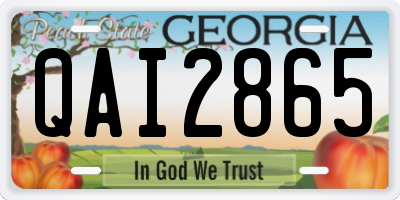 GA license plate QAI2865