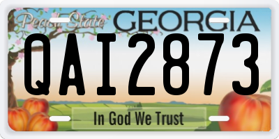 GA license plate QAI2873
