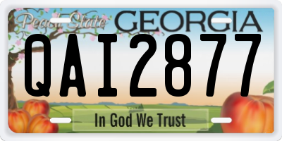 GA license plate QAI2877