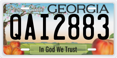 GA license plate QAI2883