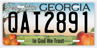 GA license plate QAI2891