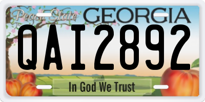 GA license plate QAI2892