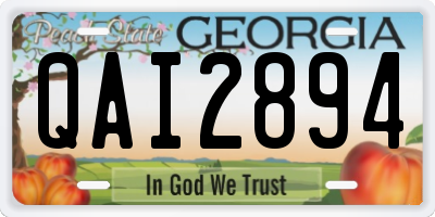 GA license plate QAI2894