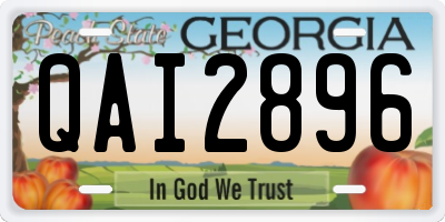 GA license plate QAI2896
