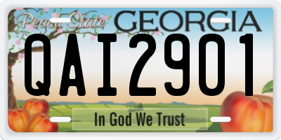 GA license plate QAI2901