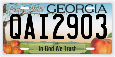 GA license plate QAI2903