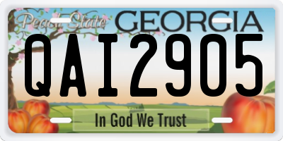 GA license plate QAI2905