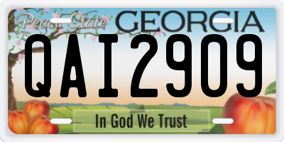 GA license plate QAI2909
