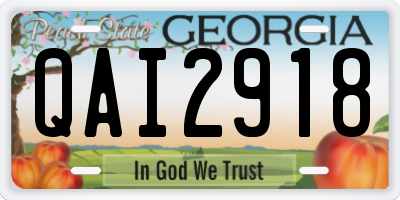 GA license plate QAI2918