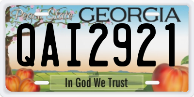 GA license plate QAI2921