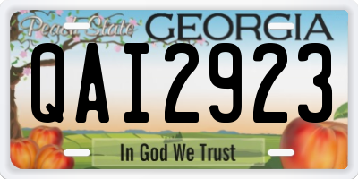 GA license plate QAI2923