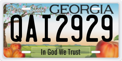 GA license plate QAI2929