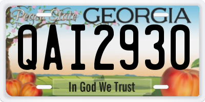 GA license plate QAI2930
