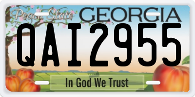 GA license plate QAI2955