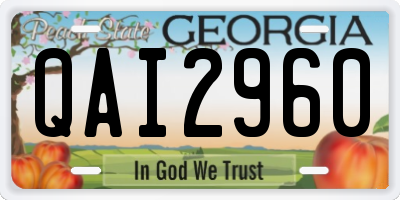 GA license plate QAI2960