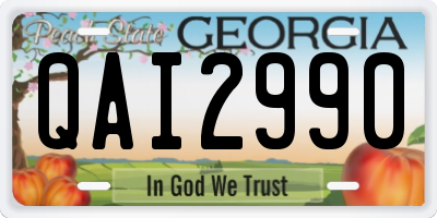 GA license plate QAI2990