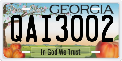 GA license plate QAI3002