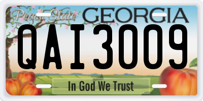 GA license plate QAI3009
