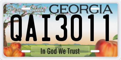 GA license plate QAI3011