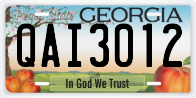 GA license plate QAI3012
