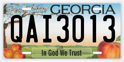 GA license plate QAI3013