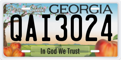 GA license plate QAI3024