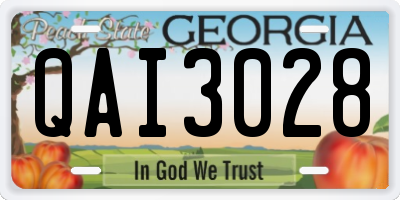 GA license plate QAI3028